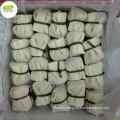 Factory bulk wholesale distribute dim sum snack IQF Frozen money bag